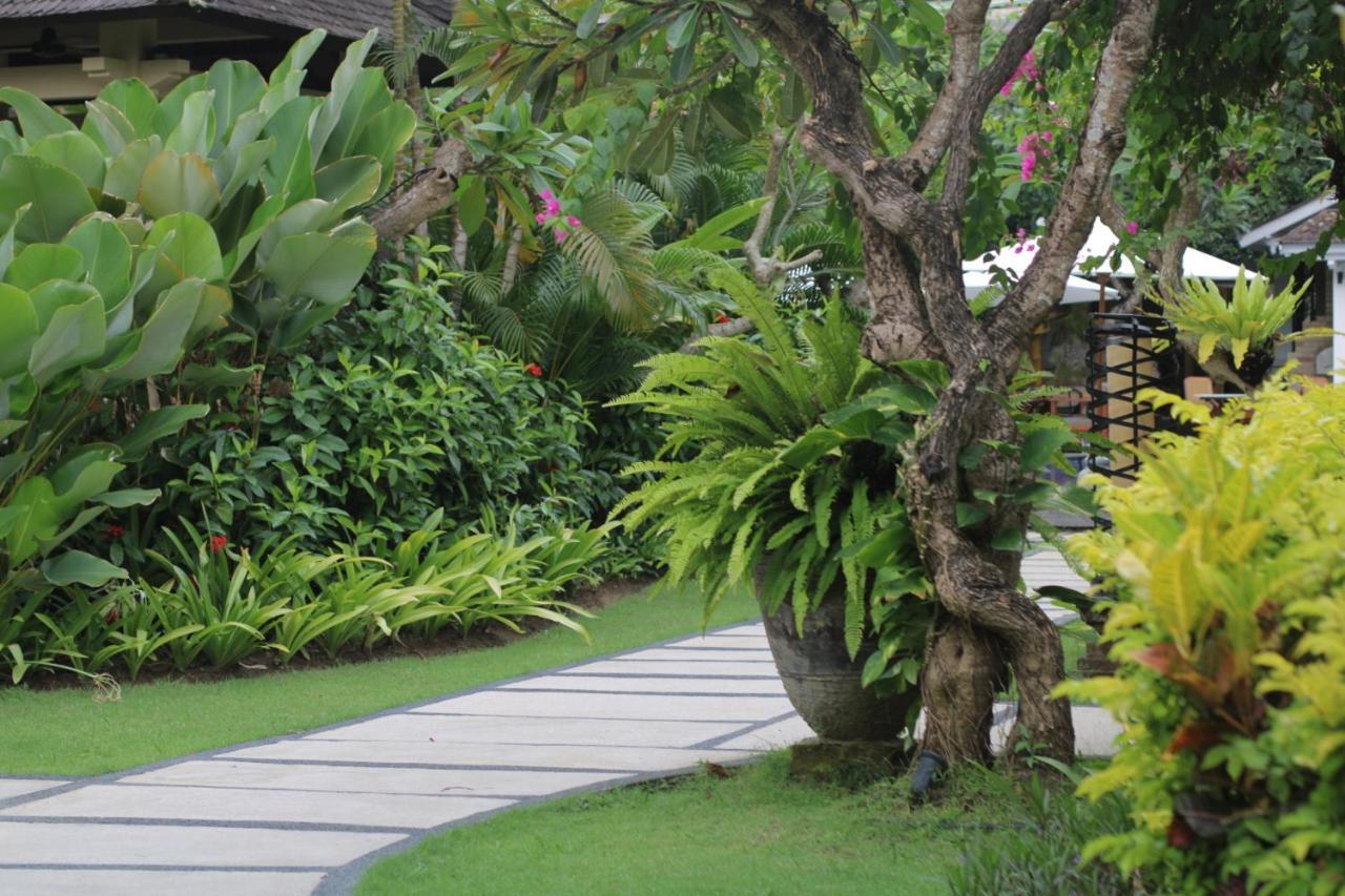 사가라 빌라 앤 스위트 발리 사누르 외부 사진 A garden in Bali