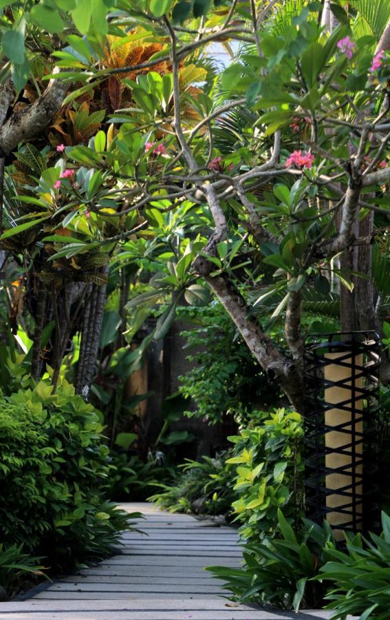 사가라 빌라 앤 스위트 발리 사누르 외부 사진 Ficus elastica